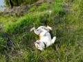 videos de Taro 17-09-2008