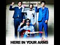 Here In Your Arms Remix - Hello Goodbye