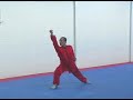 an explanation of some basic applications found in the ying yong form of the liu he men system.

a demonstration of the ying yong form can be found here:
http://www.youtube.com/watch?v=eh8mlwuz4pw

master liu de ming is the 5th generation inheritor of the liu he zi ran men lineage. he began his study of martial arts at the age of eight with master hong zheng fu and legendary grandmaster wan lai sheng.

after graduating from beijing university of physical education, master liu accepted a teaching post at the famous shaolin temple. subsequently, he spent 12 years teaching at the fujian institute of physical education. he has lived, taught and trained in melbourne, australia since 1992.

for further information about training with master liu de ming please email info@ziranmen.com or visit www.ziranmen.com