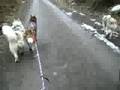 Bikejor 25/03/07