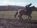 望月　草競馬　木曽馬走る　その２