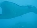Manta Point - Nusa Penida