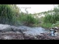 Crocodile Attack 01, Crocodile eats Rabbit