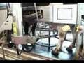 VMS Robot Milking Cows
