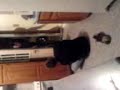 MOV00016.3gp
