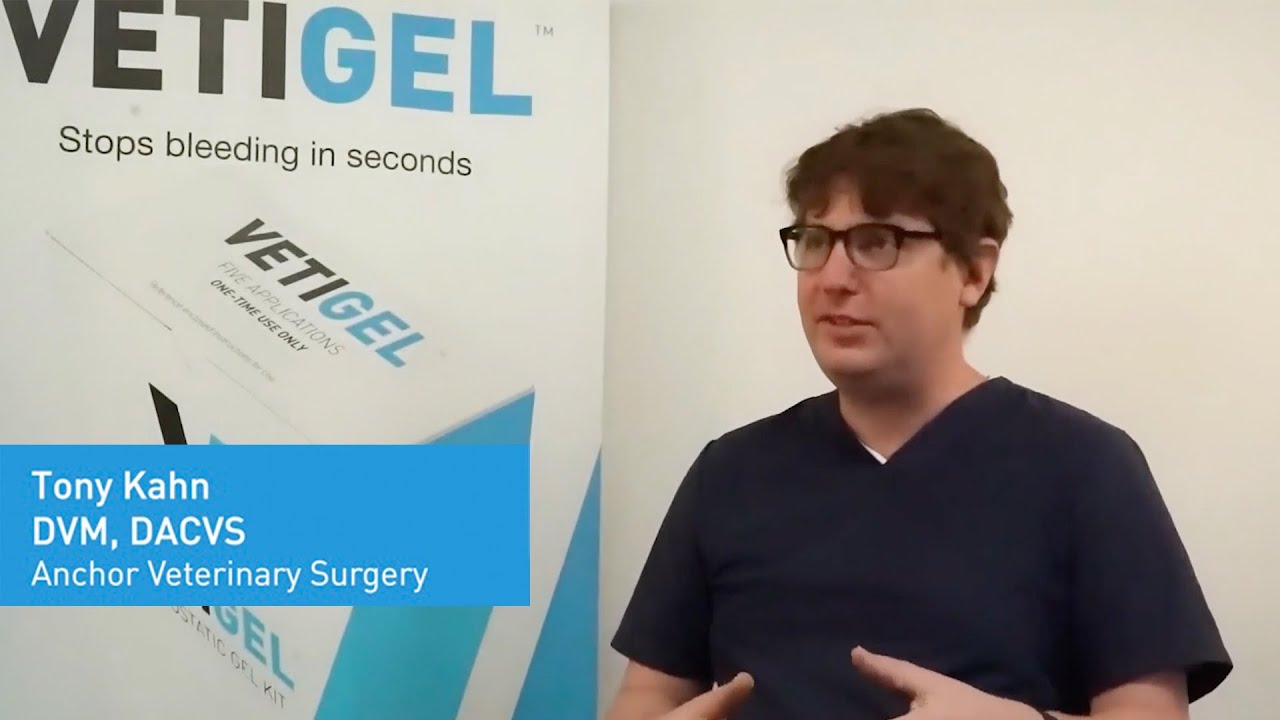 Listen to Tony Kahn's, DVM, DACVS experience using VETIGEL to stop bleeding
