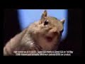 Squirrel commercial Abbey for Investments uporn tube porn