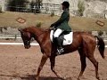 Porthos t�vling sep 07