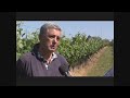 Entre Ríos tiene vinos y ahora también champagne