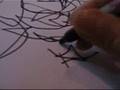Regia Art Line & Brazilian Music Live for my friend Amitaf