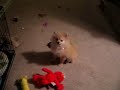 Who made this mess?