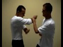Wing Tzun free paksao exercise latsao Wing Tzun free paksao exercise latsao
