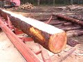 Woodmizer LT40 portable bandmill