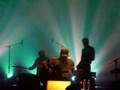 Lambchop | Paperback Bible
