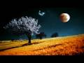 Blackmore's Night Shadow Of The Moon