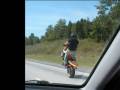 z1000 wheelie john boy