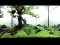 One Step Closer 60L - The final chapter