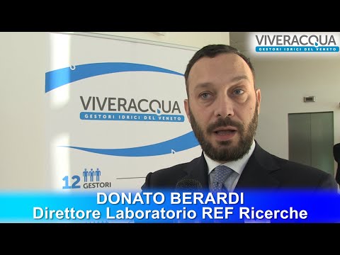 Donato Berardi, Direttore REF Ricerche