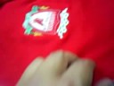 Liverpool polos