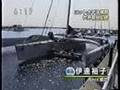 太平洋横断世界記録達成・プロセイラー西村一広氏