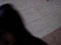 videos de my new puppy buddy