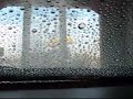 Vector Rapid Wash