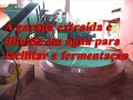 cachaça prodution
