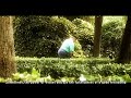 corto participante en la vii edici�n del festival de cortometrajes jameson notodofilmfest