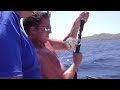 30 Kg Tuna Big Game Fishing Curacao Hd