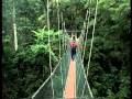 MALAYSIA: Enchanting Nature - YouTube
