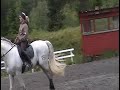 Abalorio - great PRE-stallion for sale. June 26. 2008 Part 2