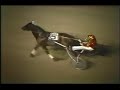 1982 George Morton Levy Memorial Final - Roosevelt Raceway 1982 George Morton Levy Memorial Final - Roosevelt Raceway