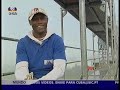 perdido e achados   geração de ouro 1991   2ª parte