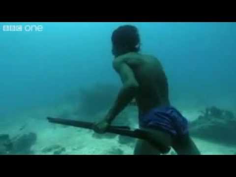 A superhuman Filipino diver from the Badjao tribe