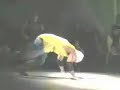 perfect Bboy brasil show perfect Bboy brasil show