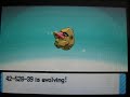 Shiny Nosepass evolves into Shiny Probopass pokeradar chain Shiny Nosepass evolves into Shiny Probopass pokeradar chain
