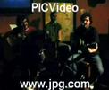 Los Silverbacks - 