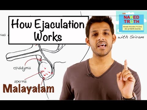 penis ejaculation