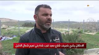 الاحتلال يشرع بتجريف شارع معبد قرب بلدة بني نعيم شمال الخليل