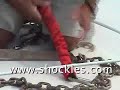 Anchor Snubber