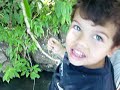 Panama Fishing and Eco Tour at Gatun Lake