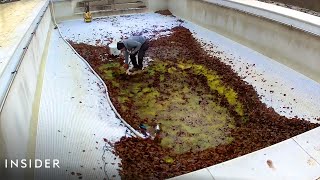 How Pools Are Professionally Deep Cleaned