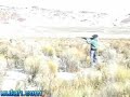 Rabbit Hunt with Gun Cam Rabbit Hunt with Gun Cam