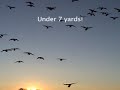 Goose Busters Minnesota Hunting