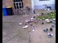 Video-0026.mp4