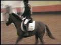springen blokker FOUTLOOS!!!!