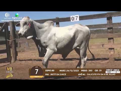 510� LEIL�O VIRTUAL MB LEIL�ES