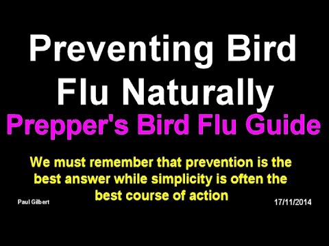how to cure bird flu