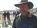 2006-drop ewes to $122 at Pinnaroo/Loxton offshears sale