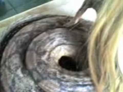 Culebra convertida en mujer